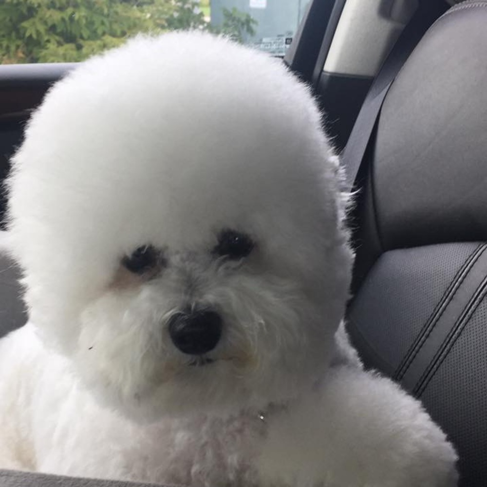 Meet your Posher, Nelaida